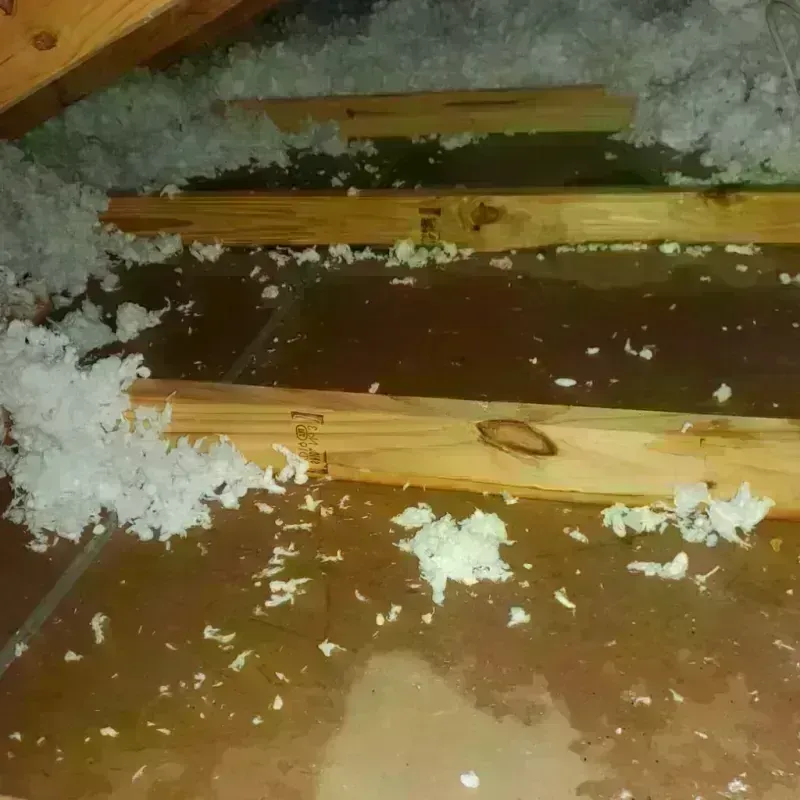 Attic Water Damage in Raynham, MA